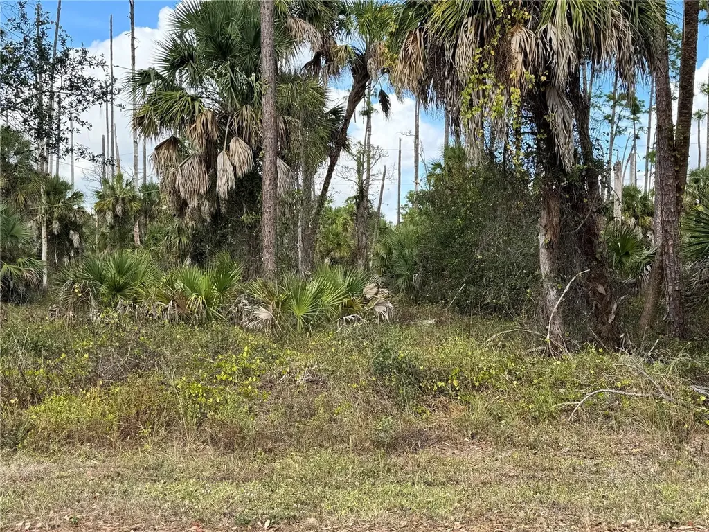 17344 Orion Avenue Port Charlotte FL 33954
