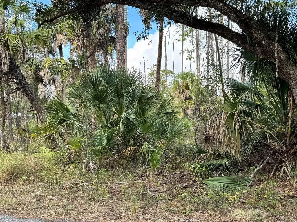 17344 Orion Avenue Port Charlotte FL 33954