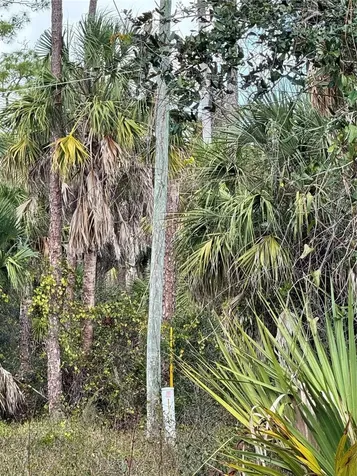 17344 Orion Avenue Port Charlotte FL 33954