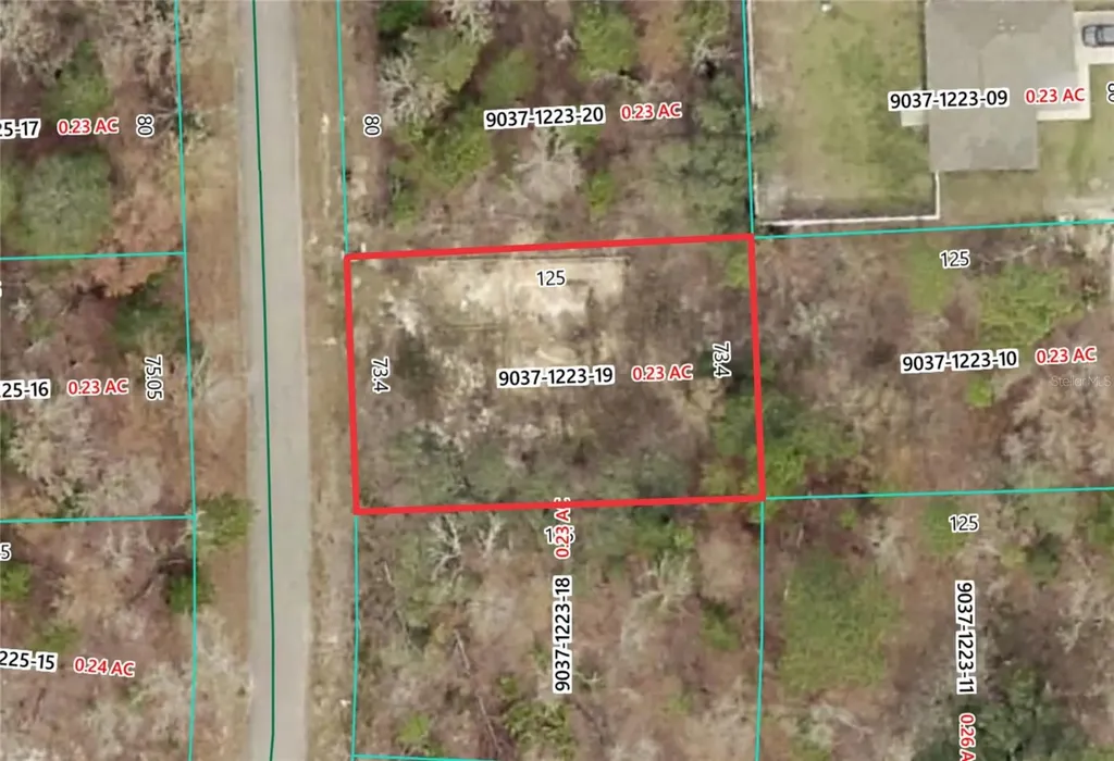 19 Fisher Lane Track Ocklawaha FL 32179