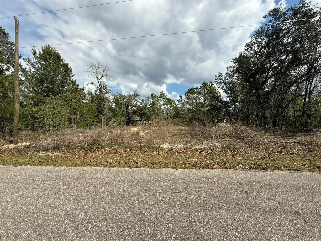19 Fisher Lane Track Ocklawaha FL 32179