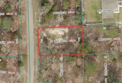 19 Fisher Lane Track Ocklawaha FL 32179