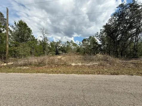 19 Fisher Lane Track Ocklawaha FL 32179