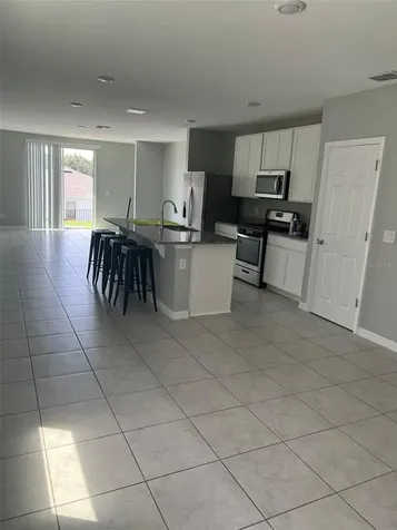 29453 Caspian Street Leesburg FL 34748