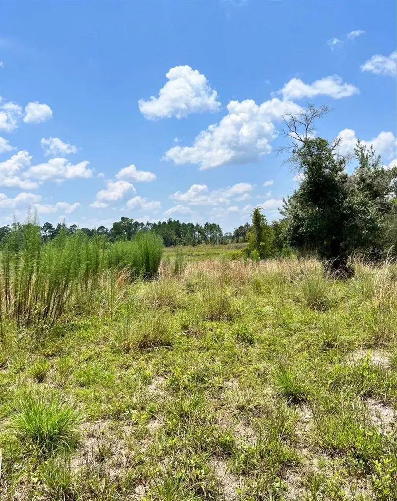 Steward Road Eustis FL 32726