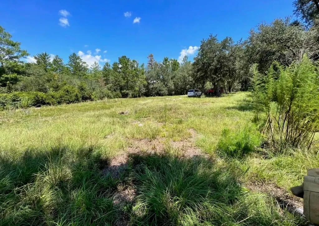 Steward Road Eustis FL 32726