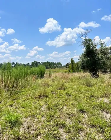 Steward Road Eustis FL 32726