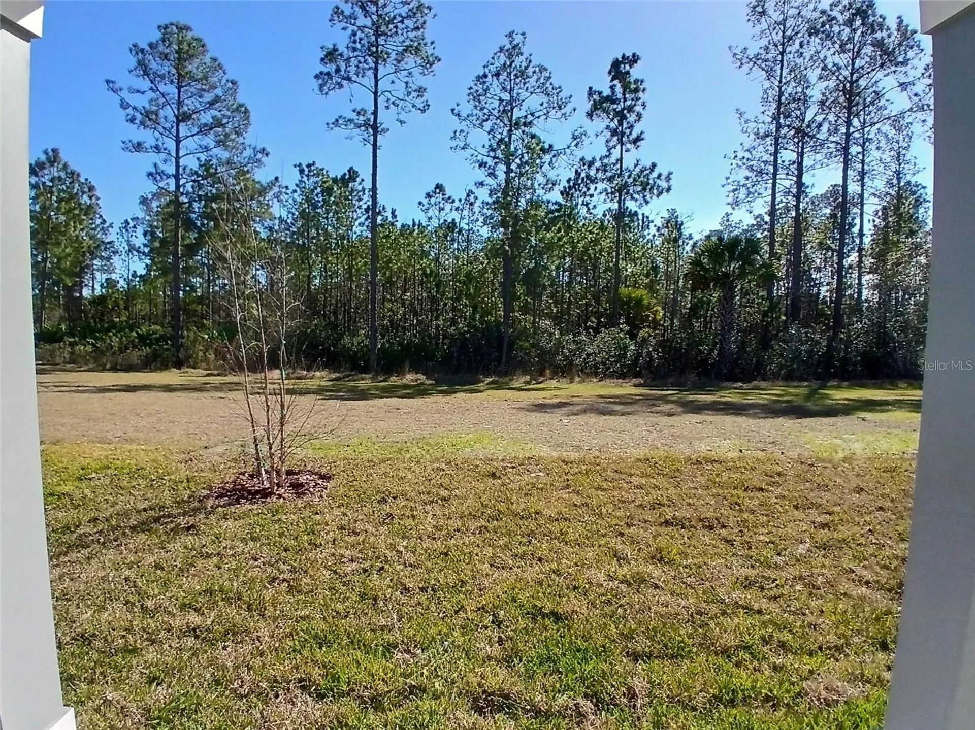 227 Montgomery Court Palm Coast FL 32164