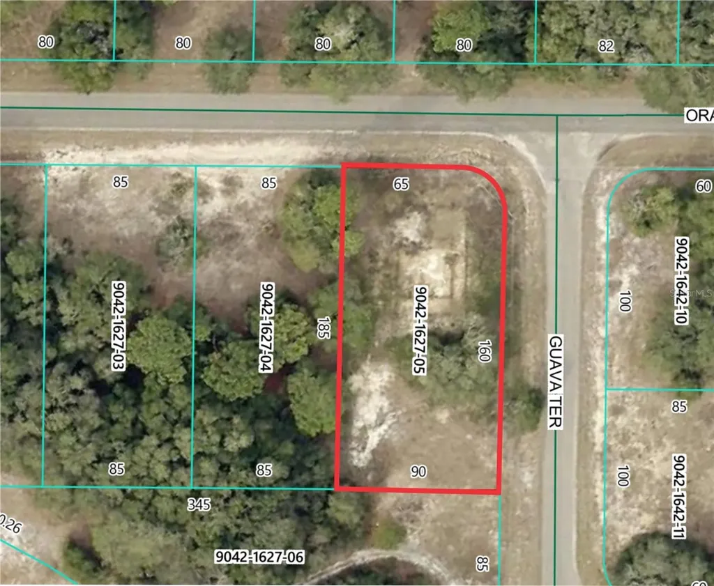 11745 Orange Road Ocklawaha FL 32179