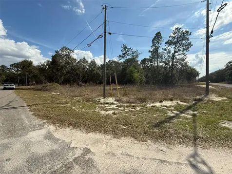 11745 Orange Road Ocklawaha FL 32179