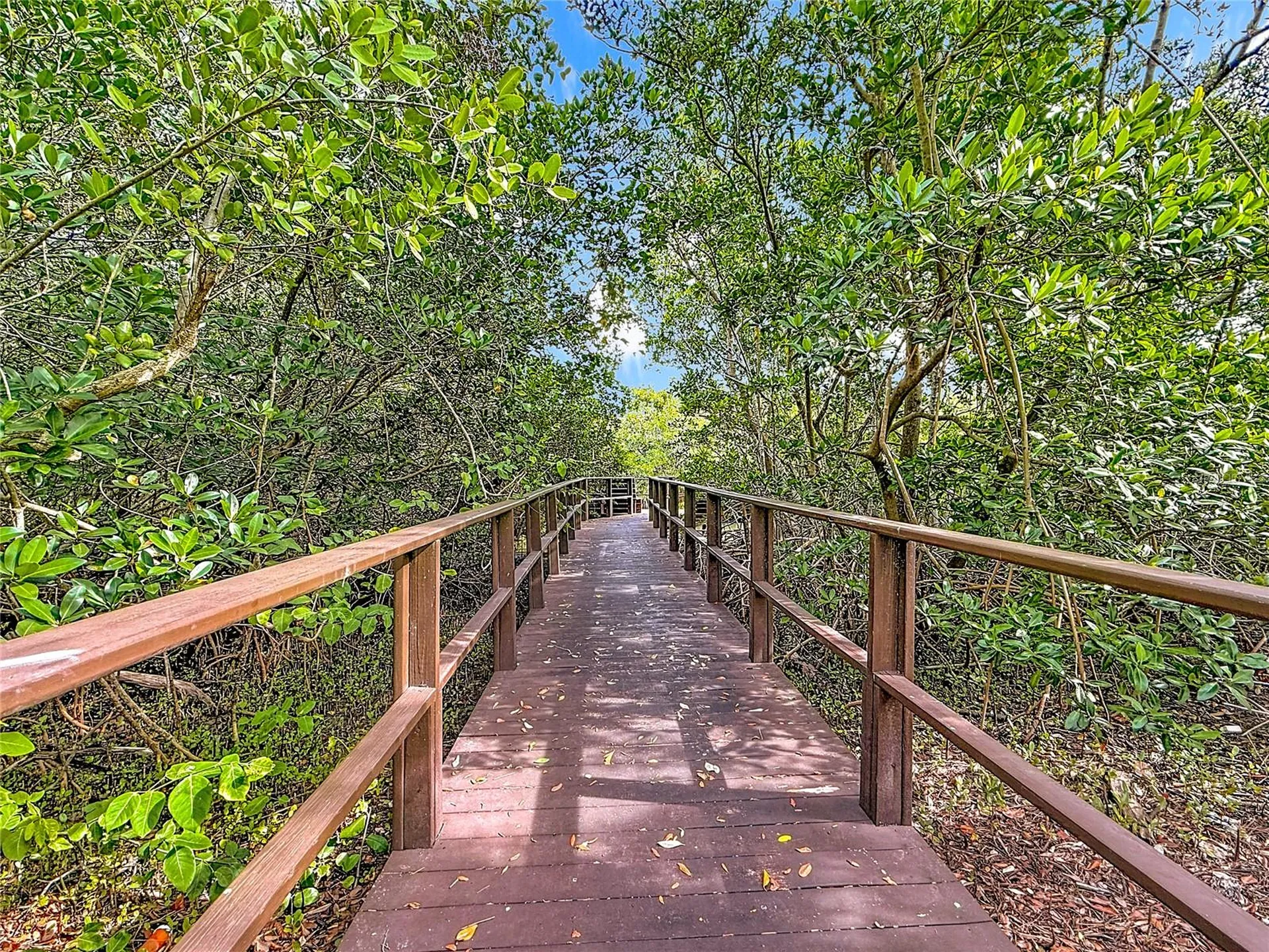 502 Bough Avenue Clearwater FL 33760