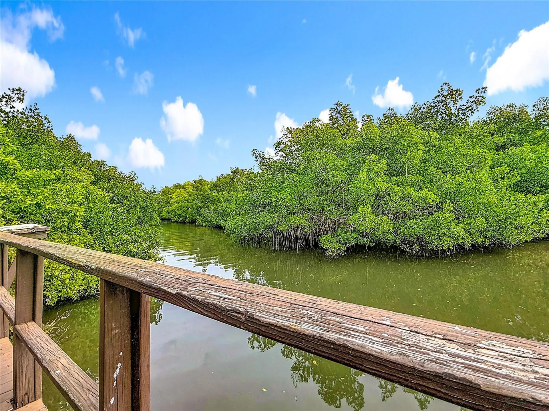 502 Bough Avenue Clearwater FL 33760