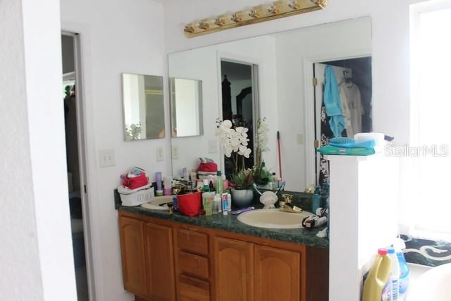 34321 S Haines Creek Road Leesburg FL 34788