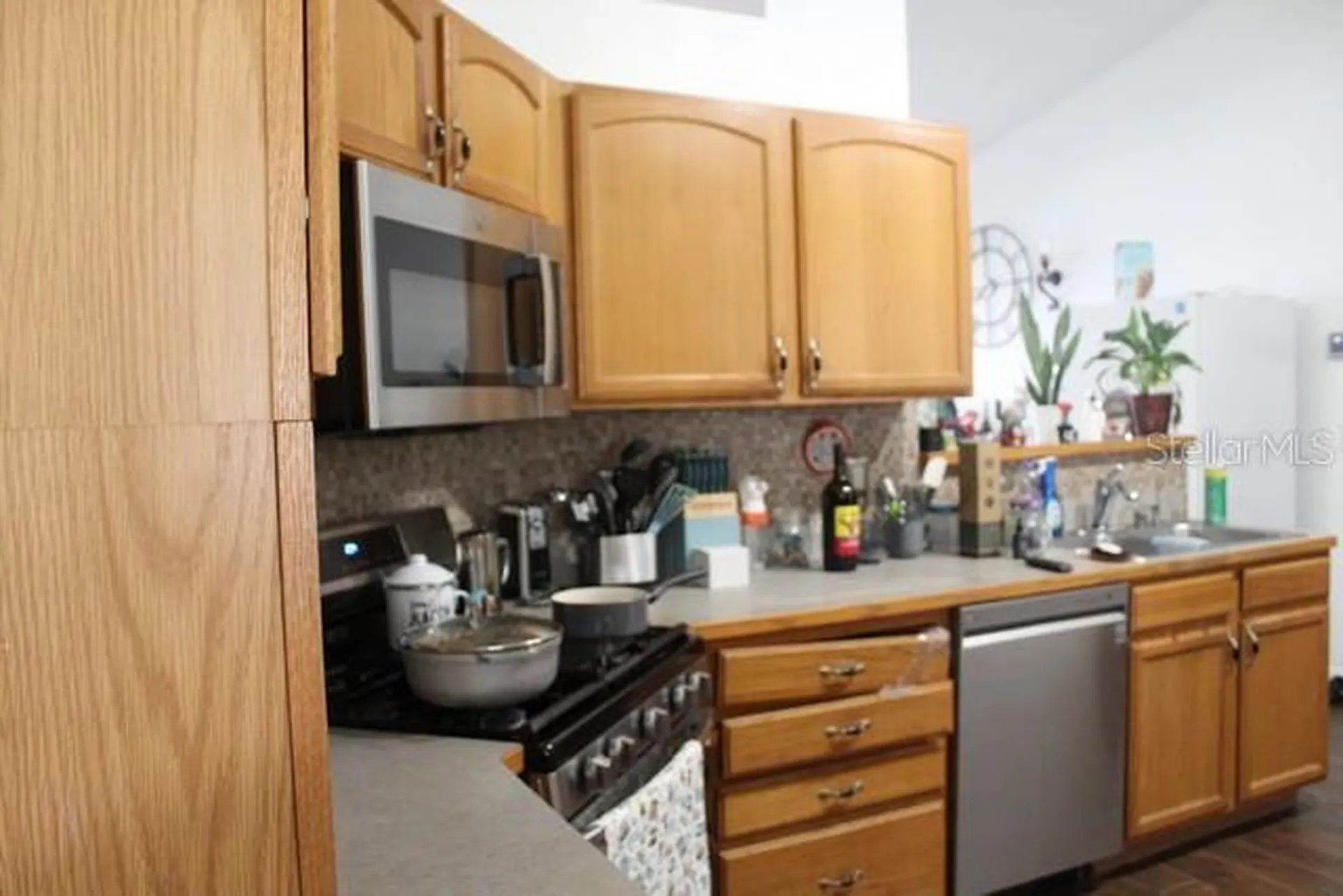 34321 S Haines Creek Road Leesburg FL 34788