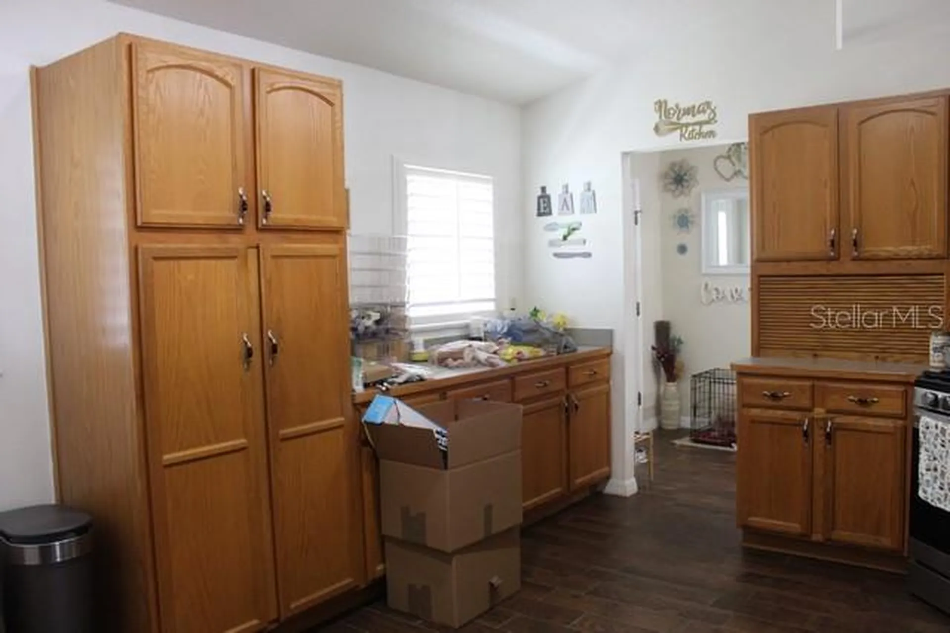 34321 S Haines Creek Road Leesburg FL 34788