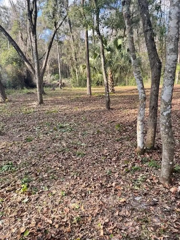 NE 164 Lane Citra FL 32113