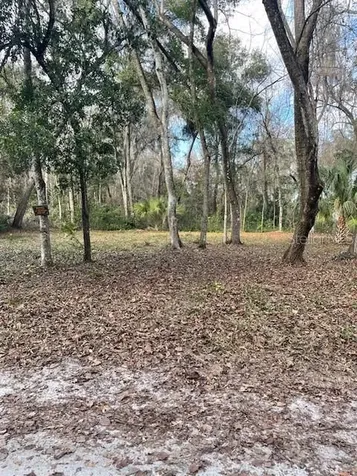 NE 164 Lane Citra FL 32113