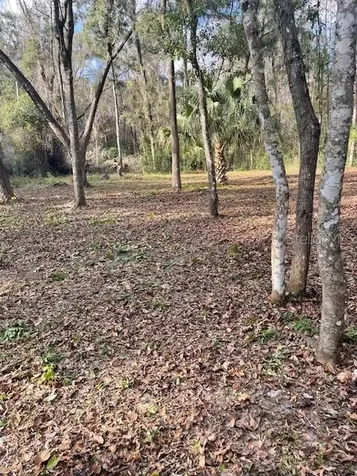 NE 164 Lane Citra FL 32113