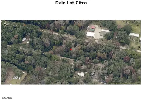 NE 164 Lane Citra FL 32113