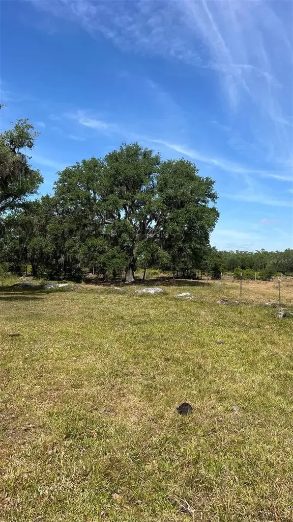 45855 Clay Gully Road Myakka City FL 34251