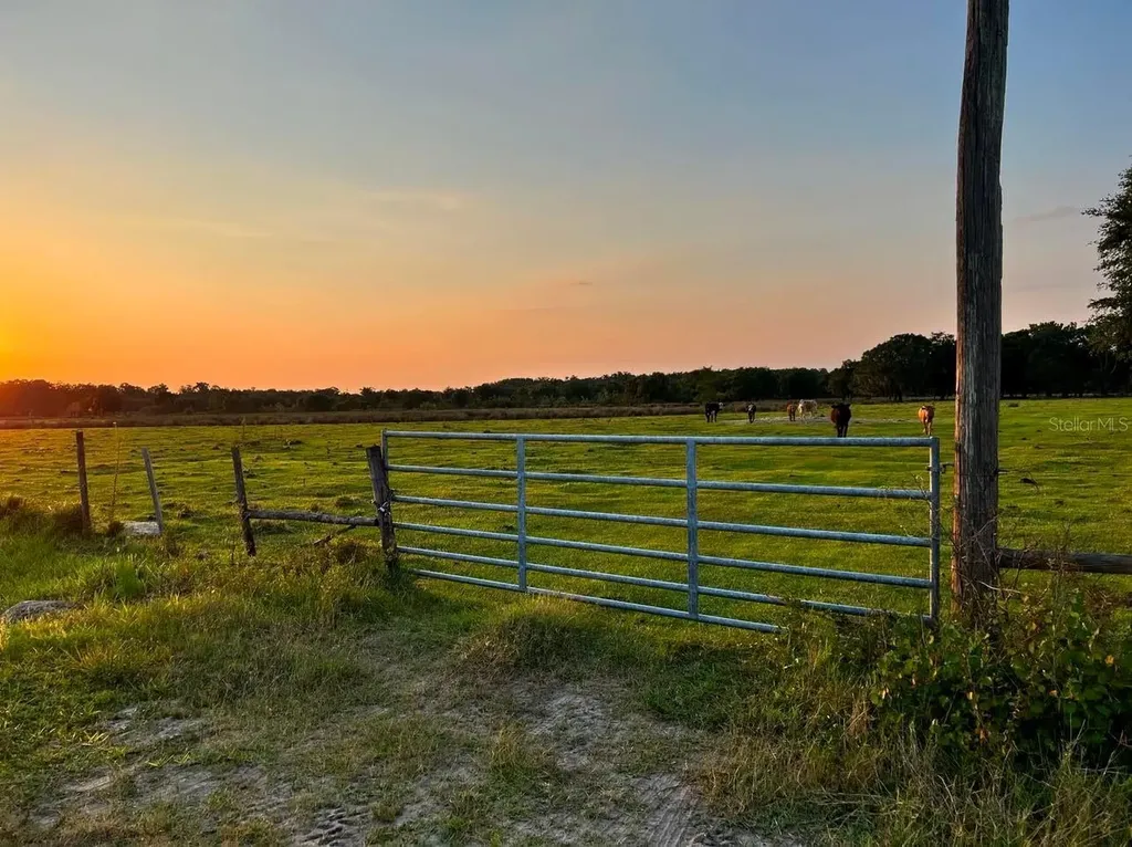 45855 Clay Gully Road Myakka City FL 34251