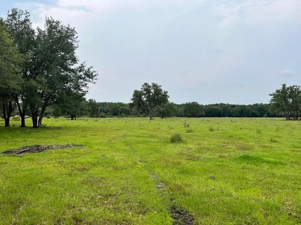 45855 Clay Gully Road Myakka City FL 34251
