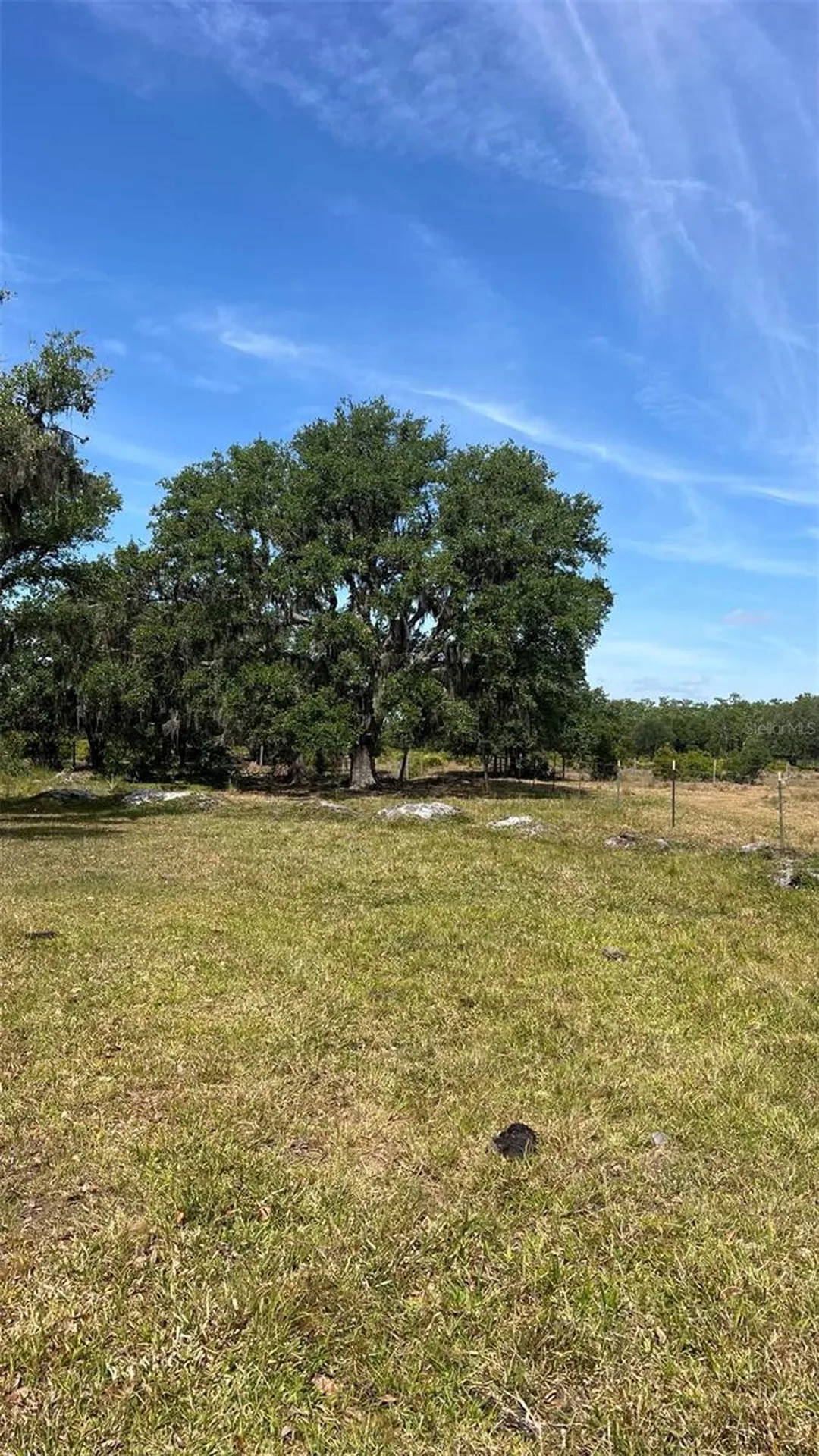 45855 Clay Gully Road Myakka City FL 34251