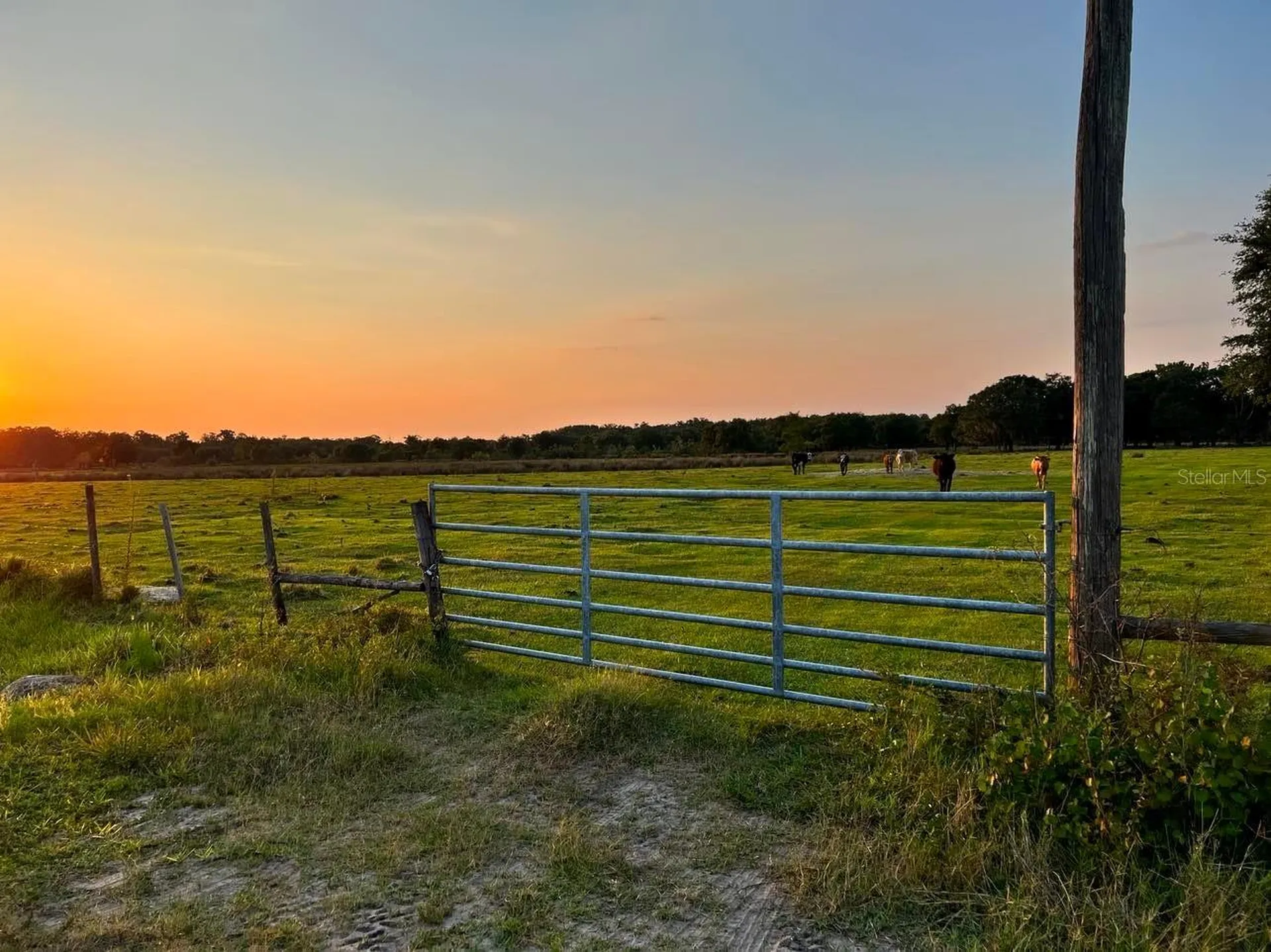 45855 Clay Gully Road Myakka City FL 34251
