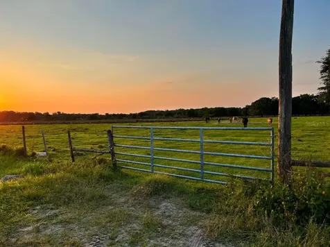 45855 Clay Gully Road Myakka City FL 34251