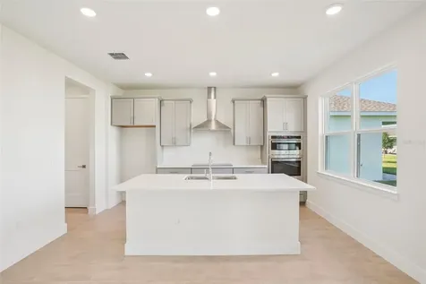 30301 Rustic Mill Street Mount Dora FL 32757