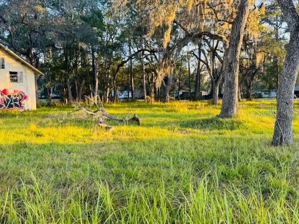 17476 Nicholas Avenue Brooksville FL 34604