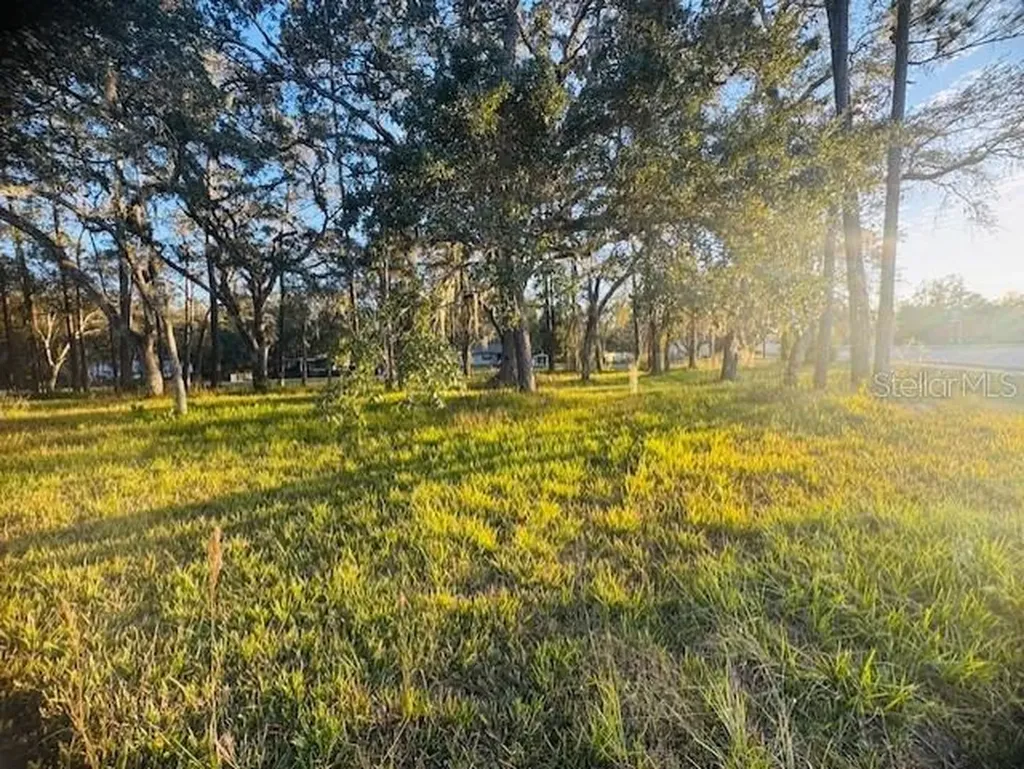 17476 Nicholas Avenue Brooksville FL 34604