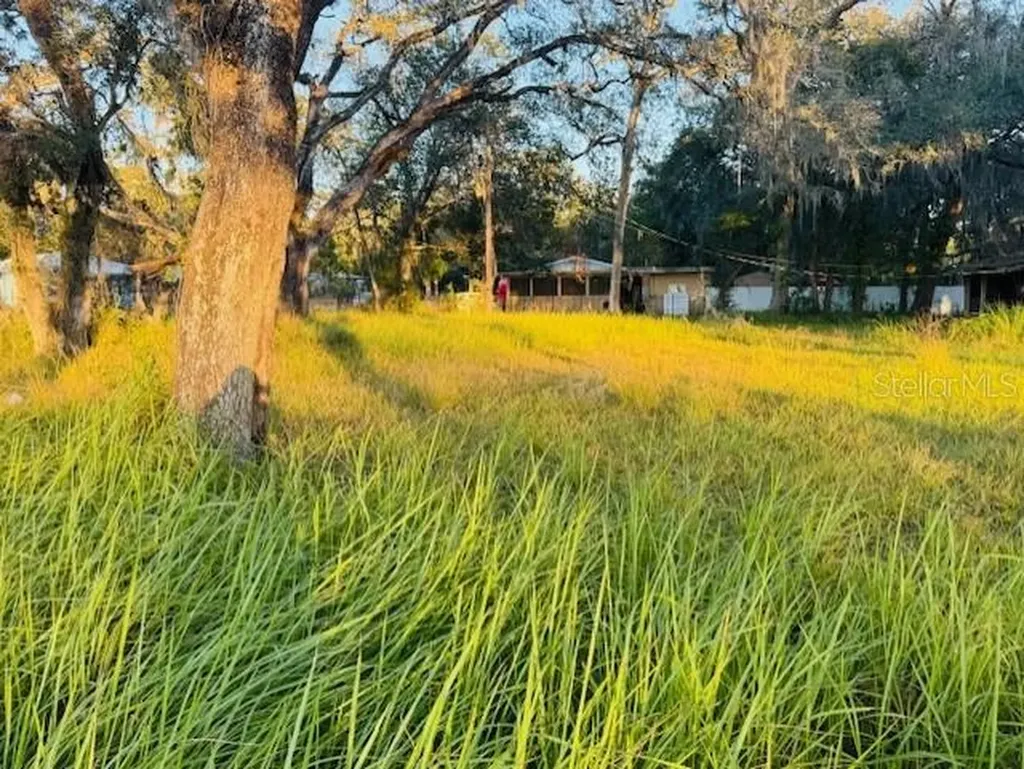 17476 Nicholas Avenue Brooksville FL 34604