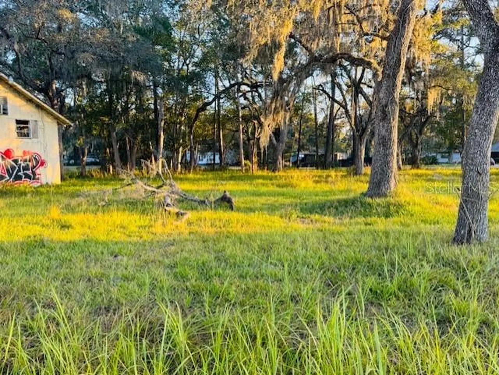 17476 Nicholas Avenue Brooksville FL 34604