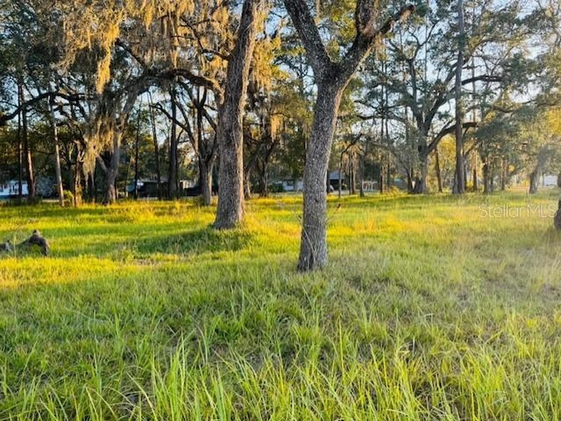 17476 Nicholas Avenue Brooksville FL 34604