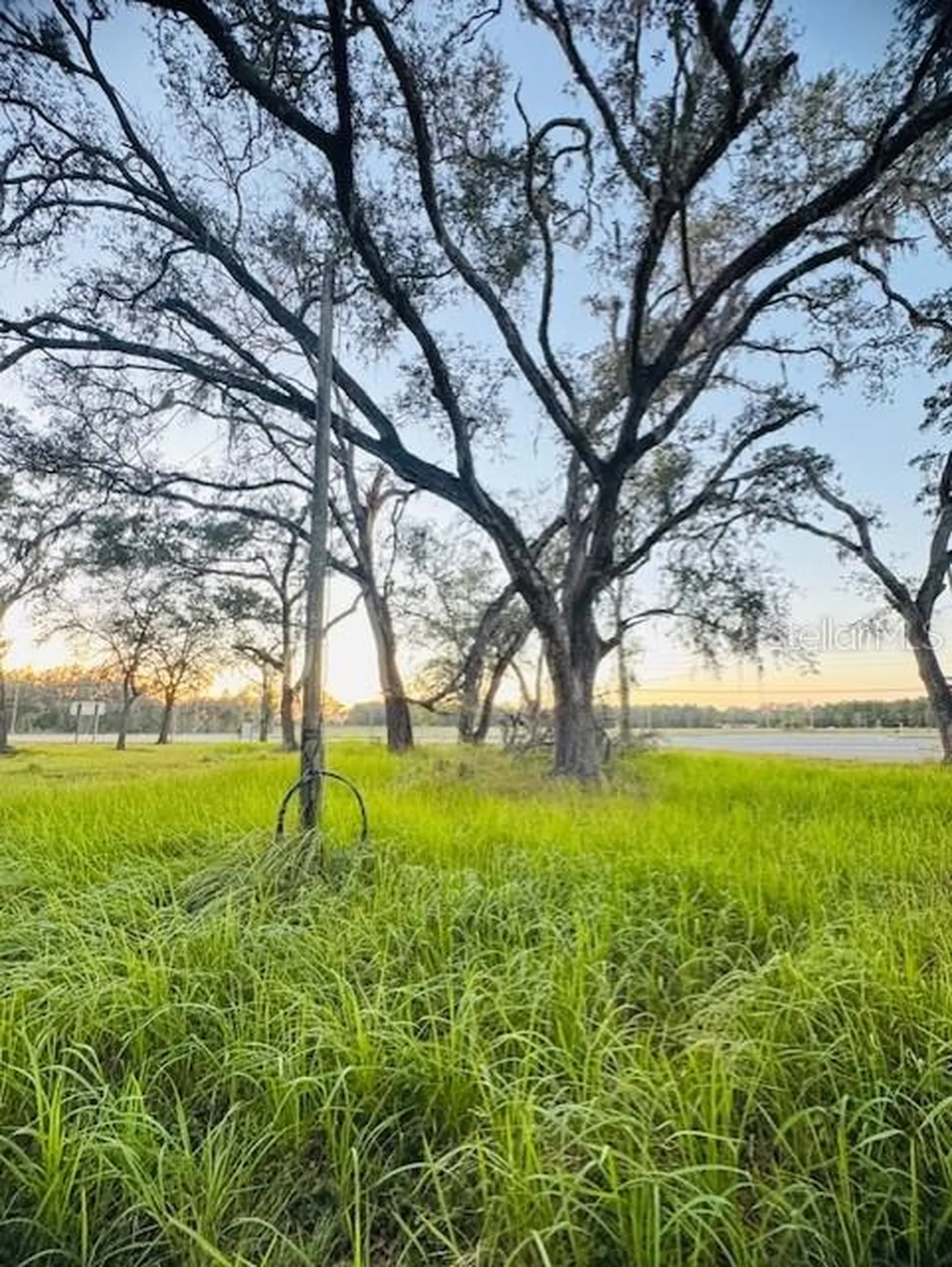 17476 Nicholas Avenue Brooksville FL 34604