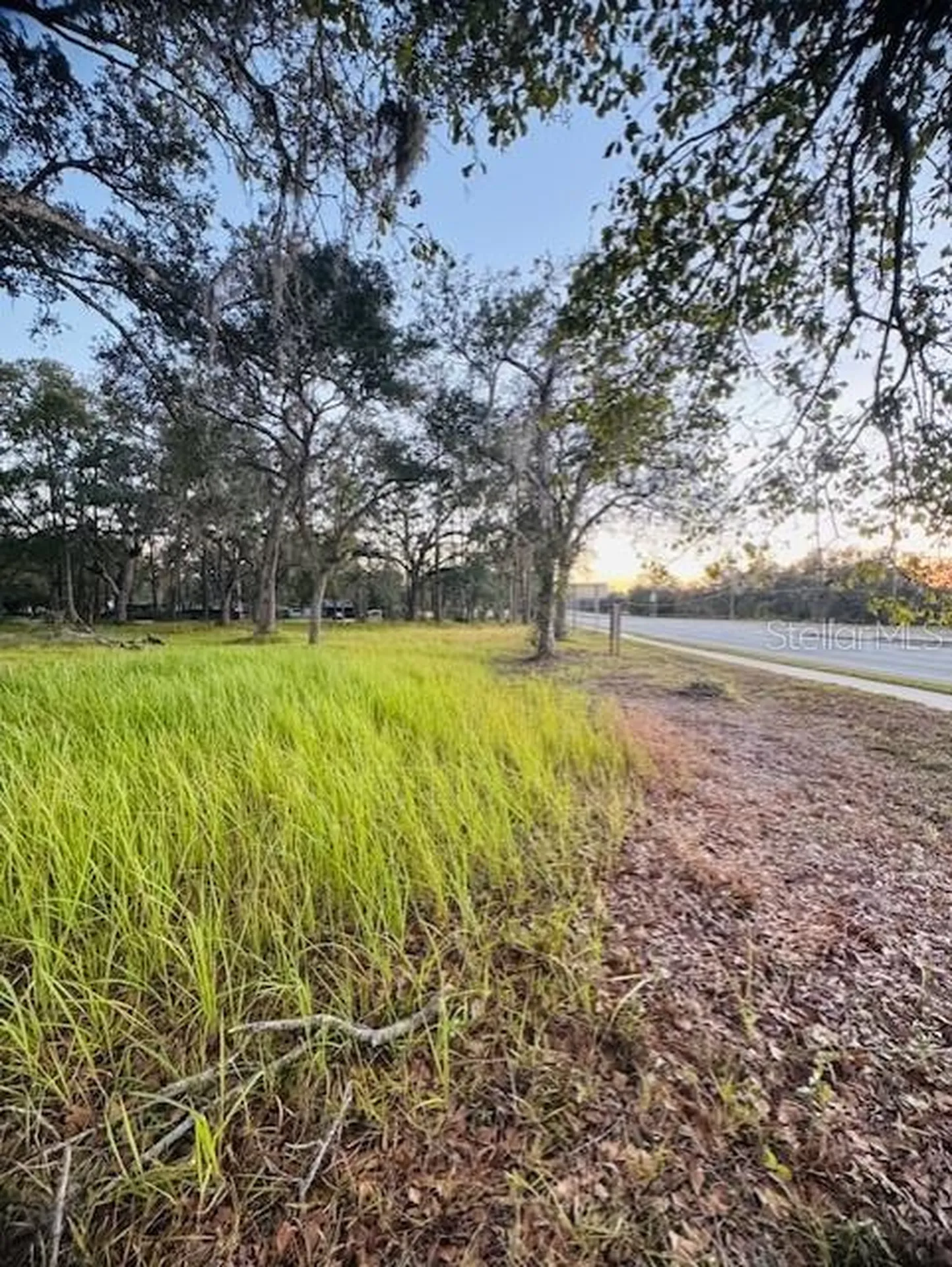 17476 Nicholas Avenue Brooksville FL 34604