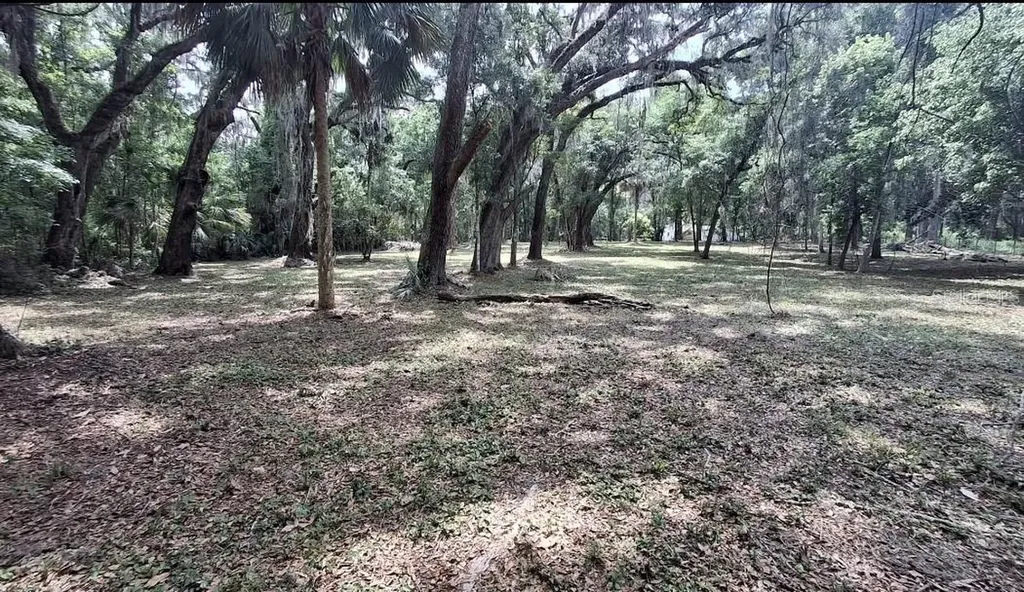 5316 SW 13th Street Gainesville FL 32608