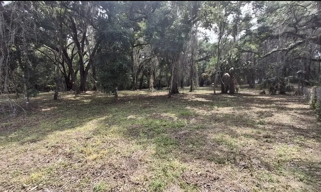 5316 SW 13th Street Gainesville FL 32608