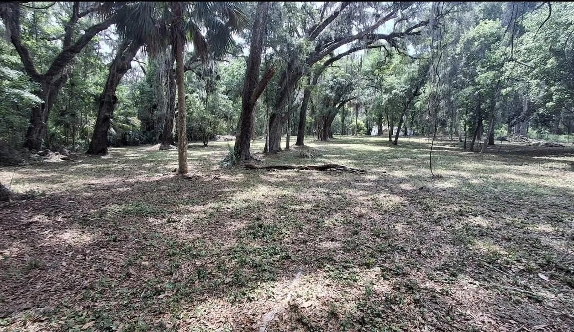 5316 SW 13th Street Gainesville FL 32608