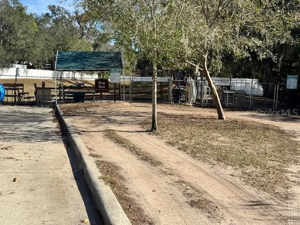 Salt Springs FL 32134