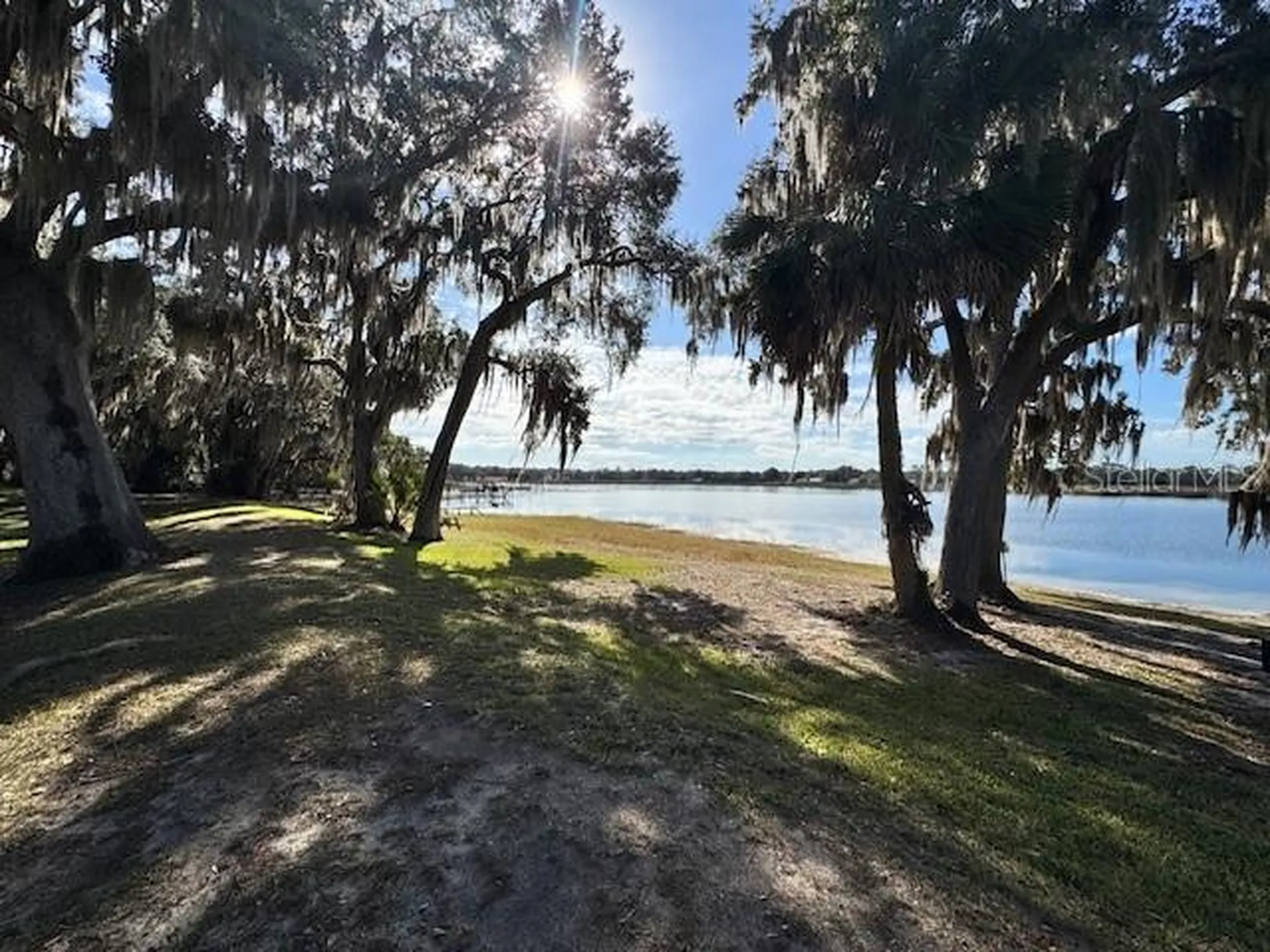 Salt Springs FL 32134