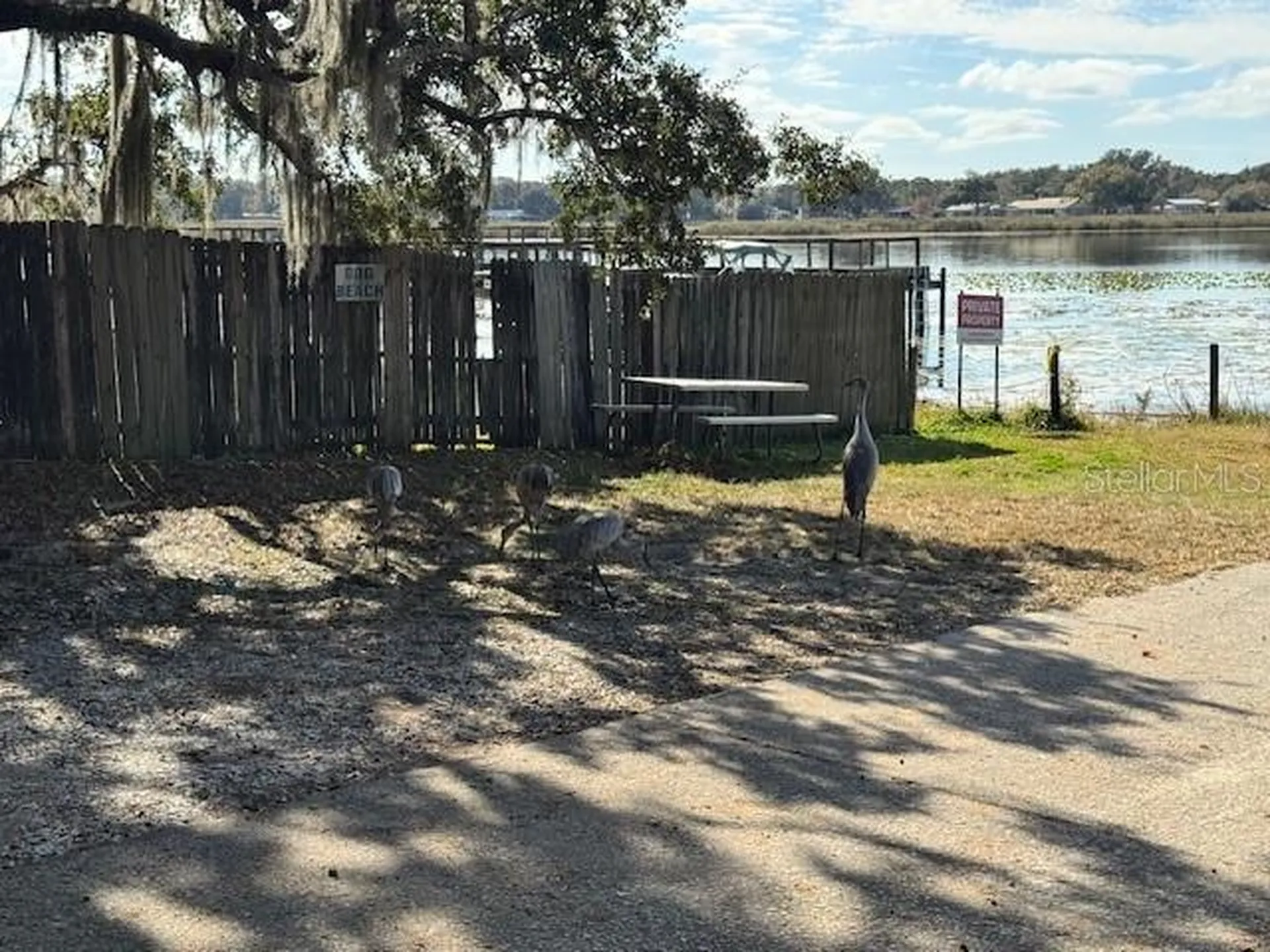 Salt Springs FL 32134