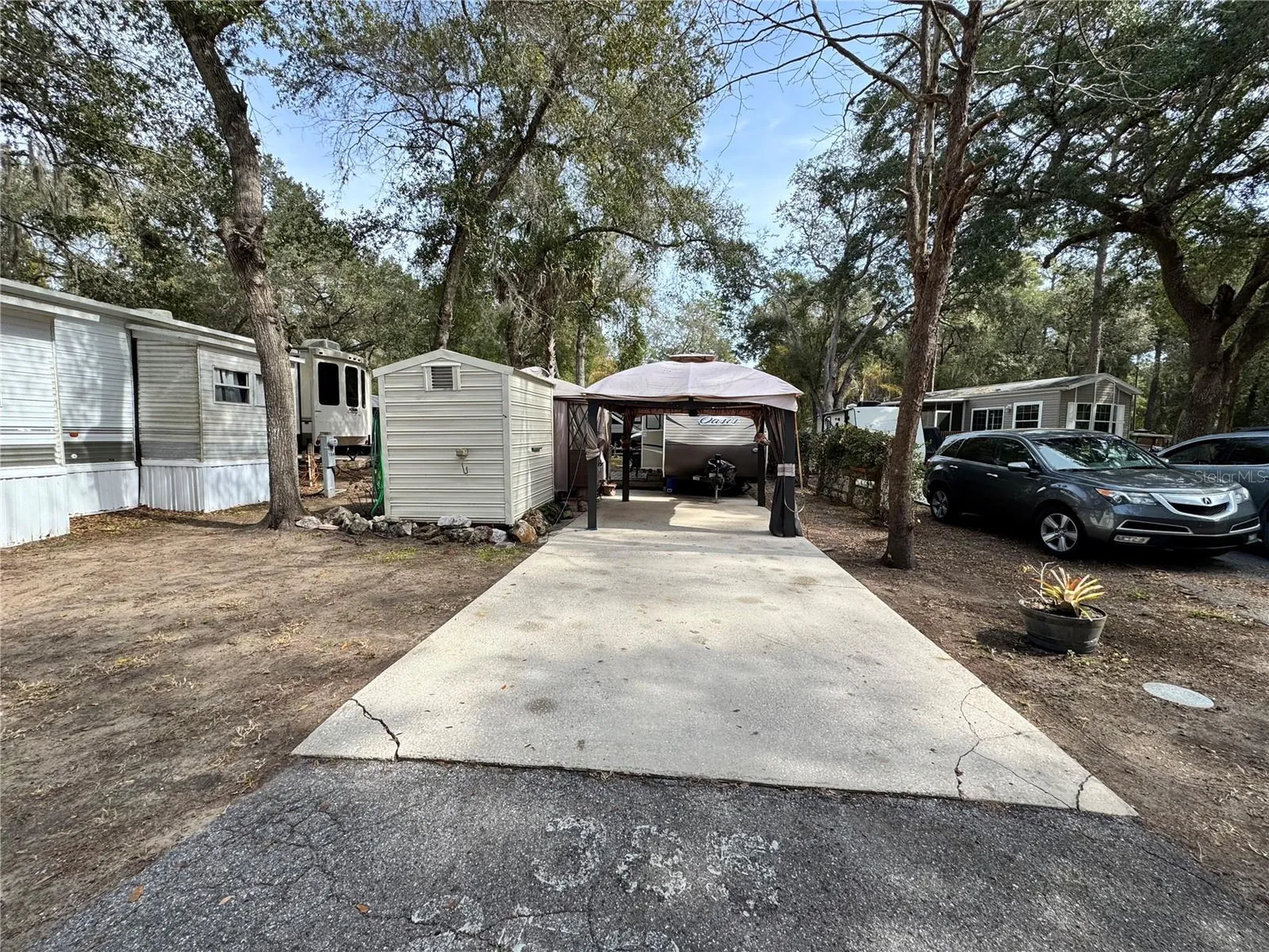 Salt Springs FL 32134