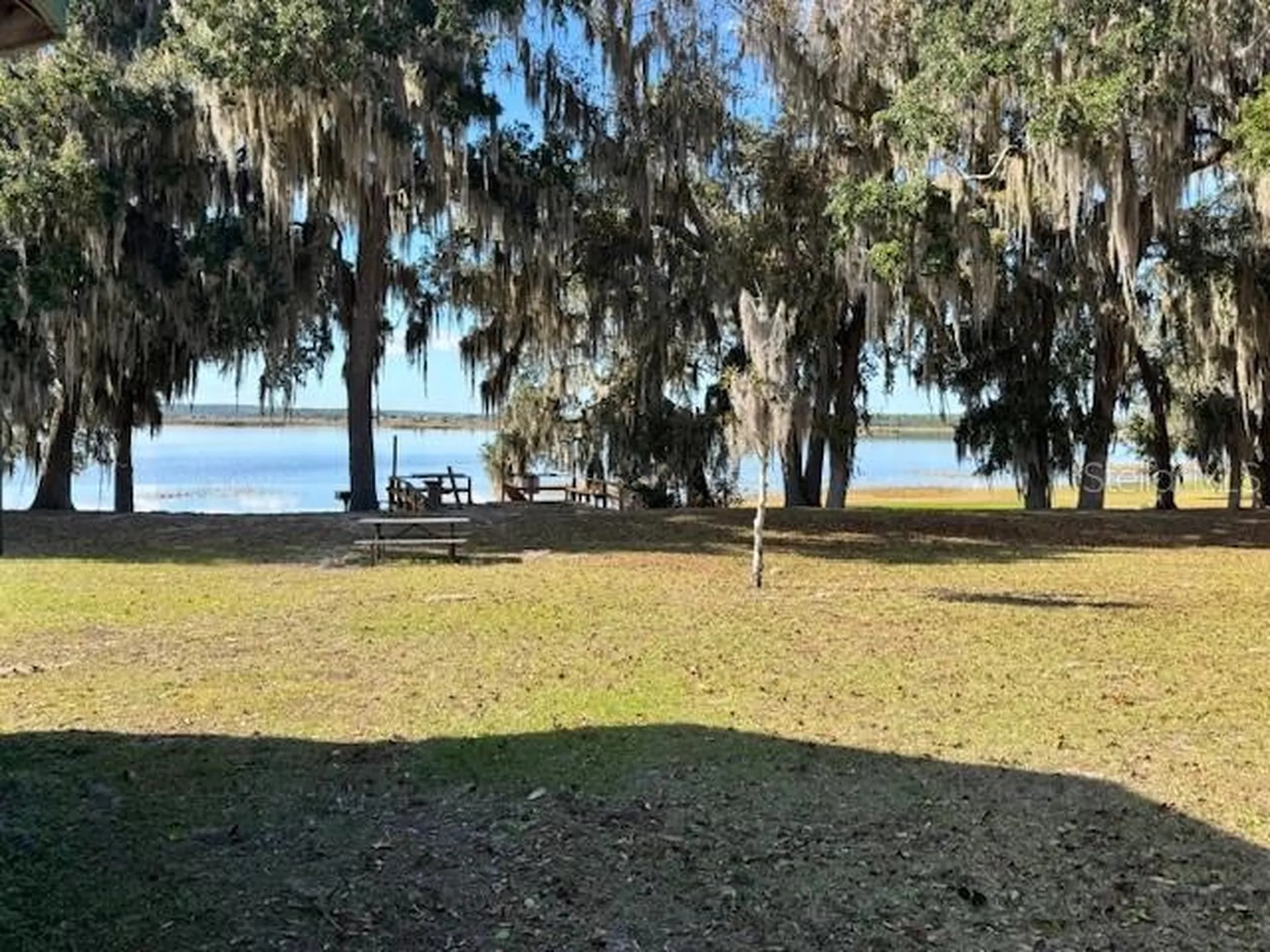 Salt Springs FL 32134