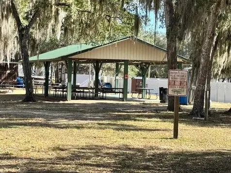 Salt Springs FL 32134