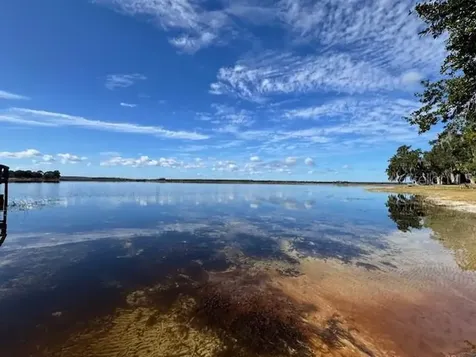 Salt Springs FL 32134