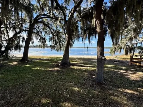 Salt Springs FL 32134