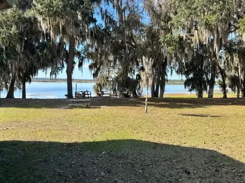 Salt Springs FL 32134