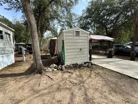 Salt Springs FL 32134